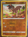 Mudbray