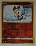 Scorbunny