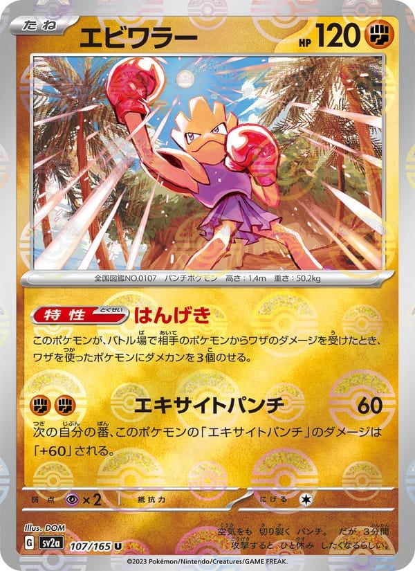 Hitmonchan (Master Ball Pattern)