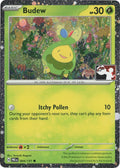 Budew - 004/131 (Cosmos Holo)