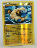 Mareep