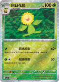 Sunflora - 604