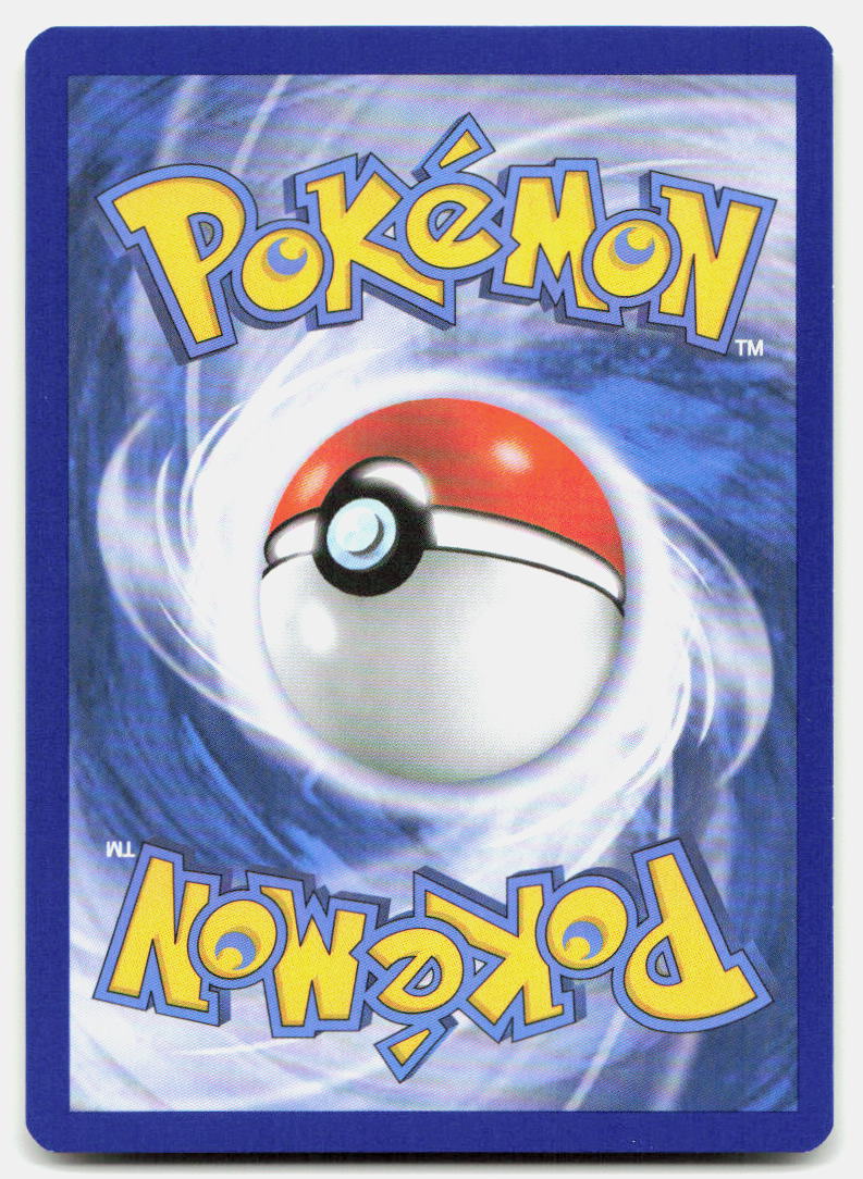 Swinub (Back)