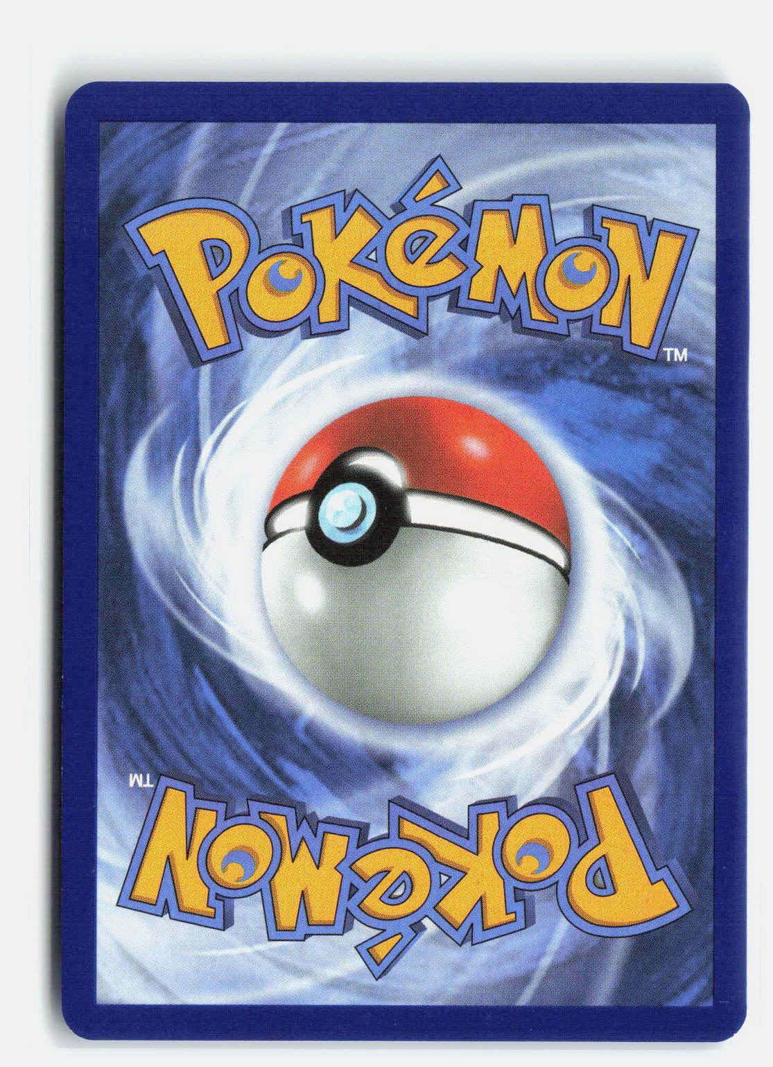 Kyogre (Back)