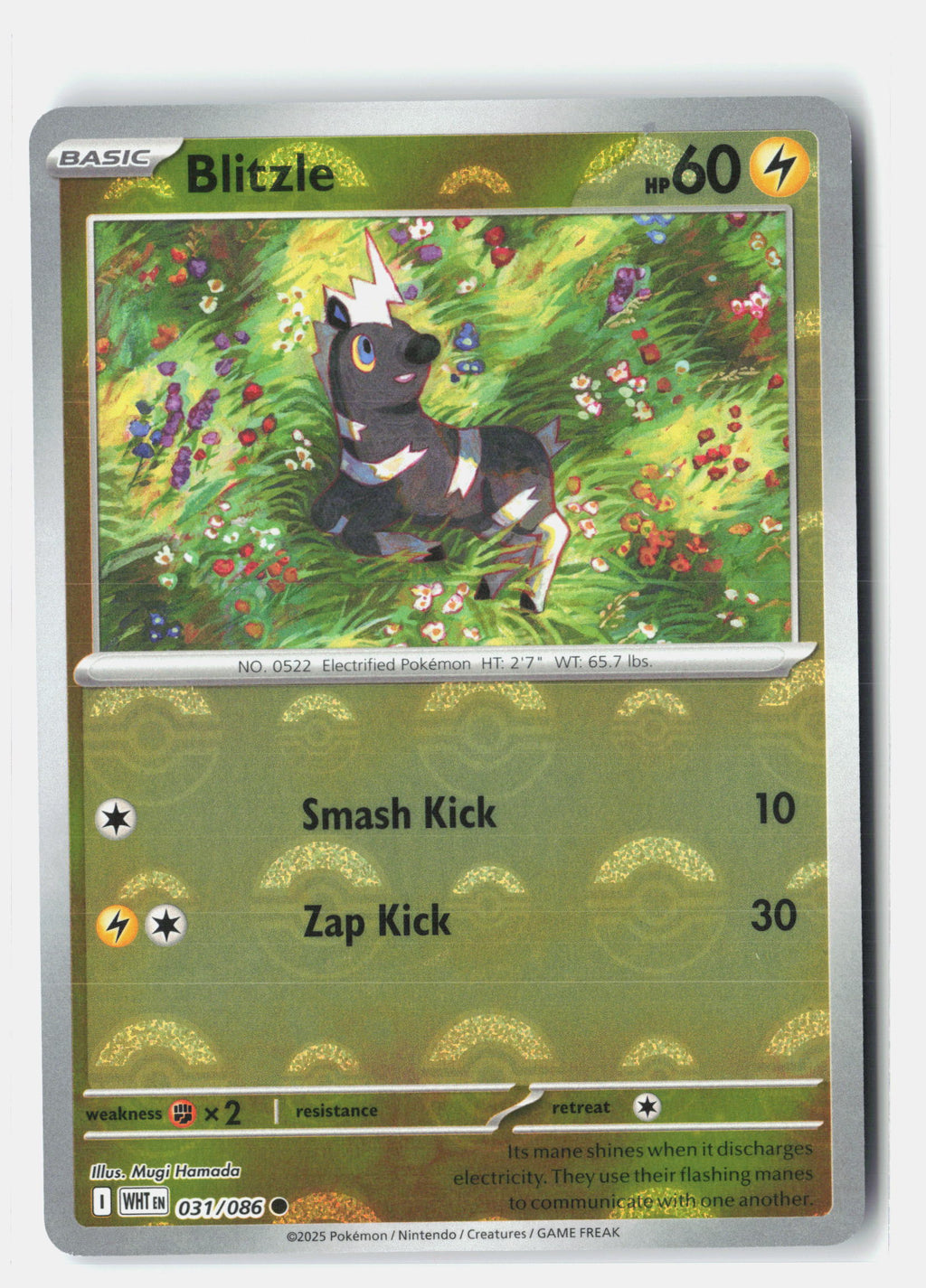 Blitzle (Poke Ball Pattern)