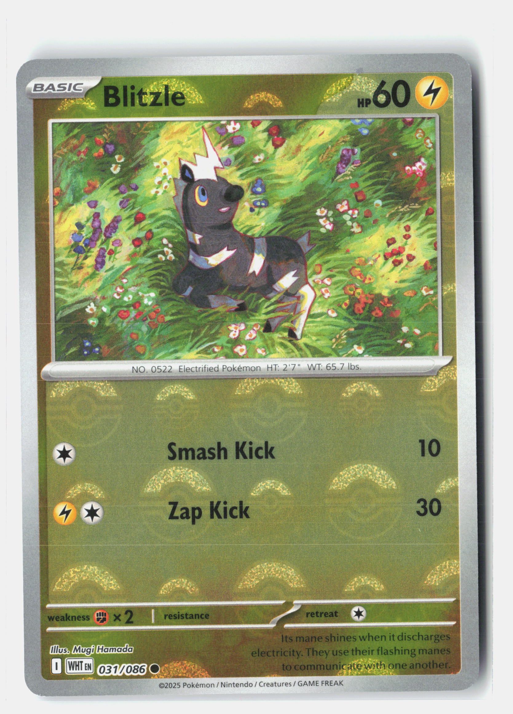 Blitzle (Poke Ball Pattern)