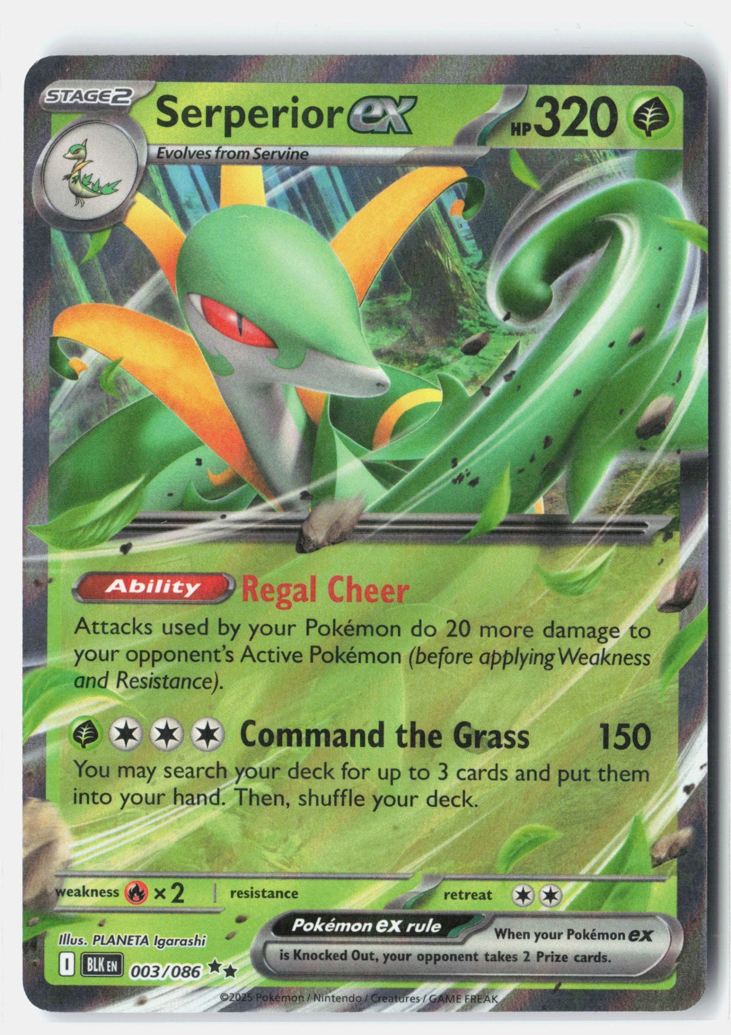 Serperior ex