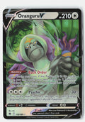 Oranguru V