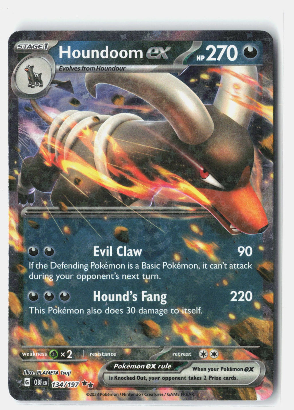 Houndoom ex