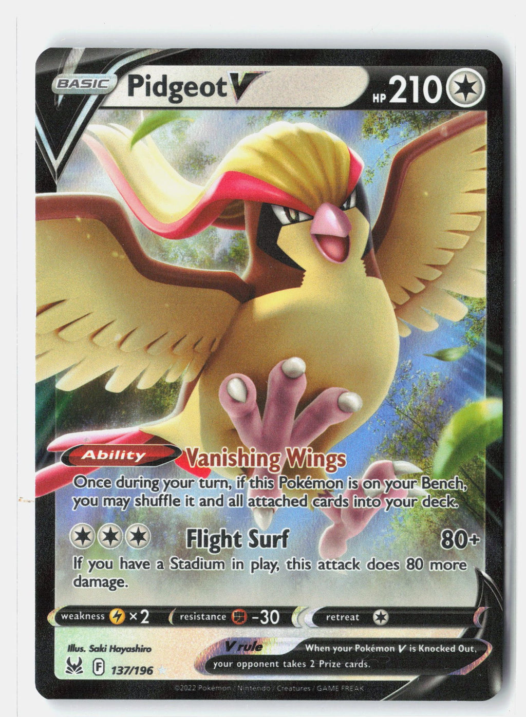 Pidgeot V
