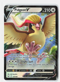 Pidgeot V