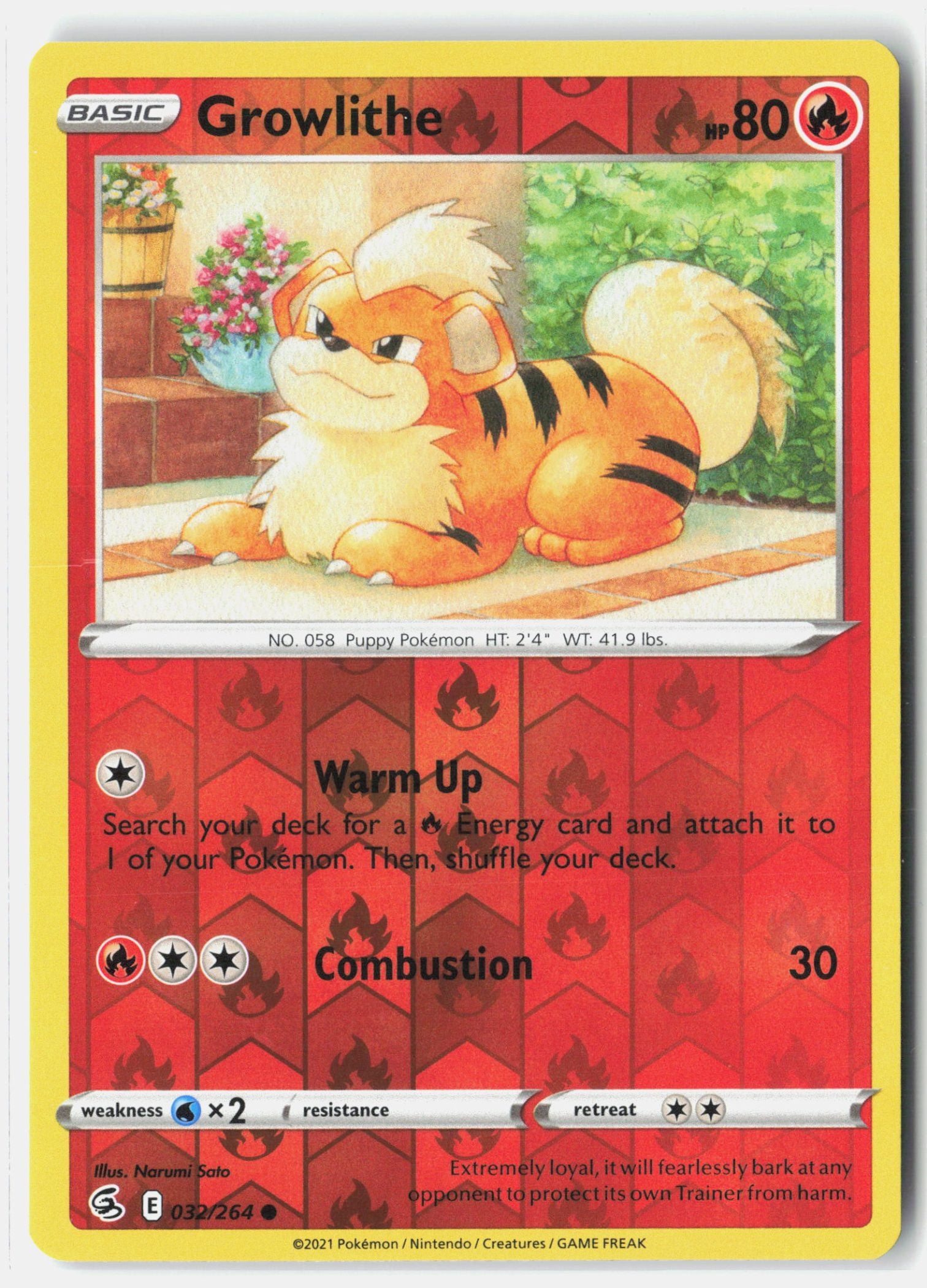 Growlithe
