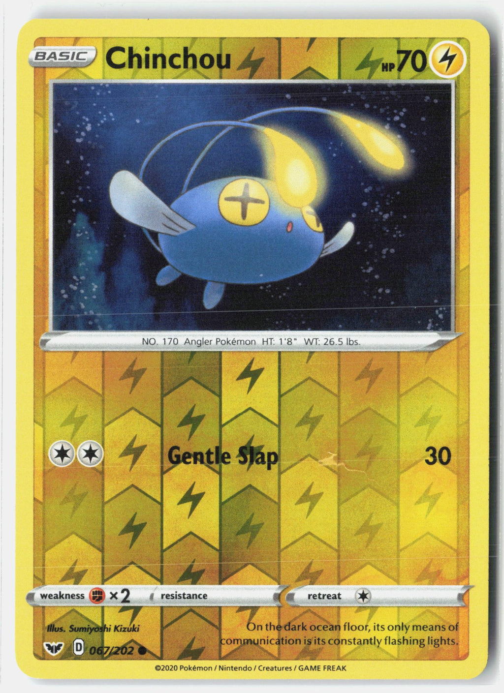 Chinchou (067)
