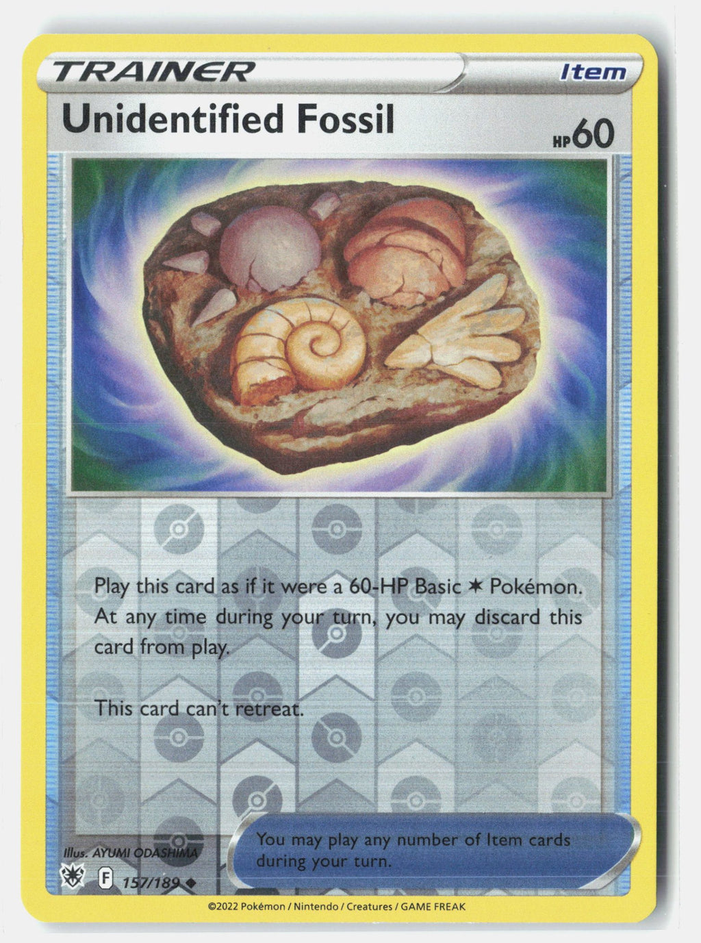 Unidentified Fossil