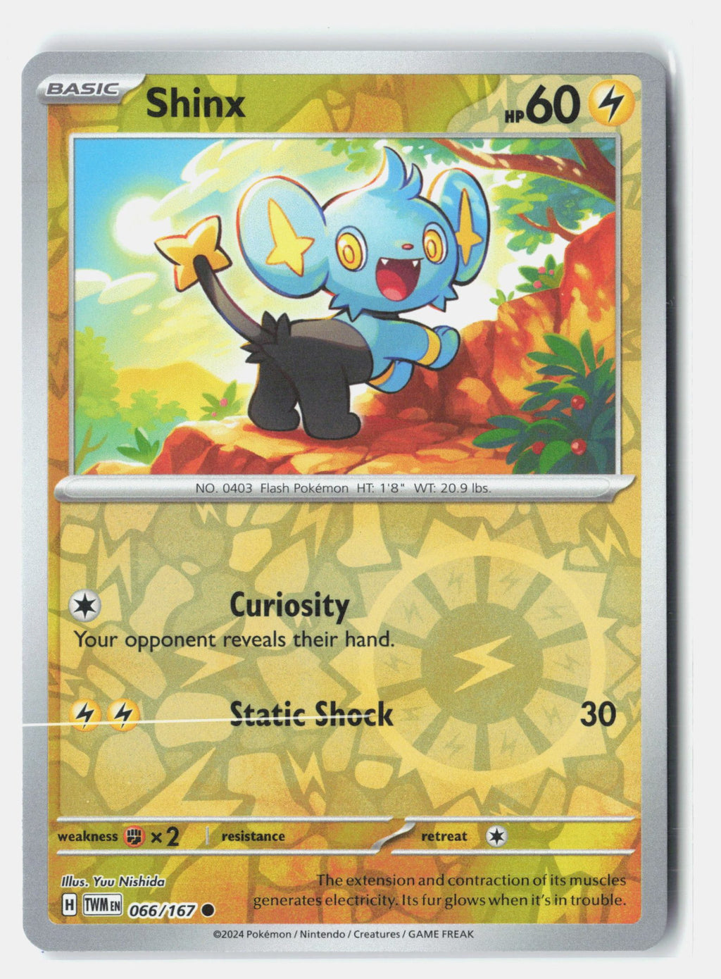 Shinx