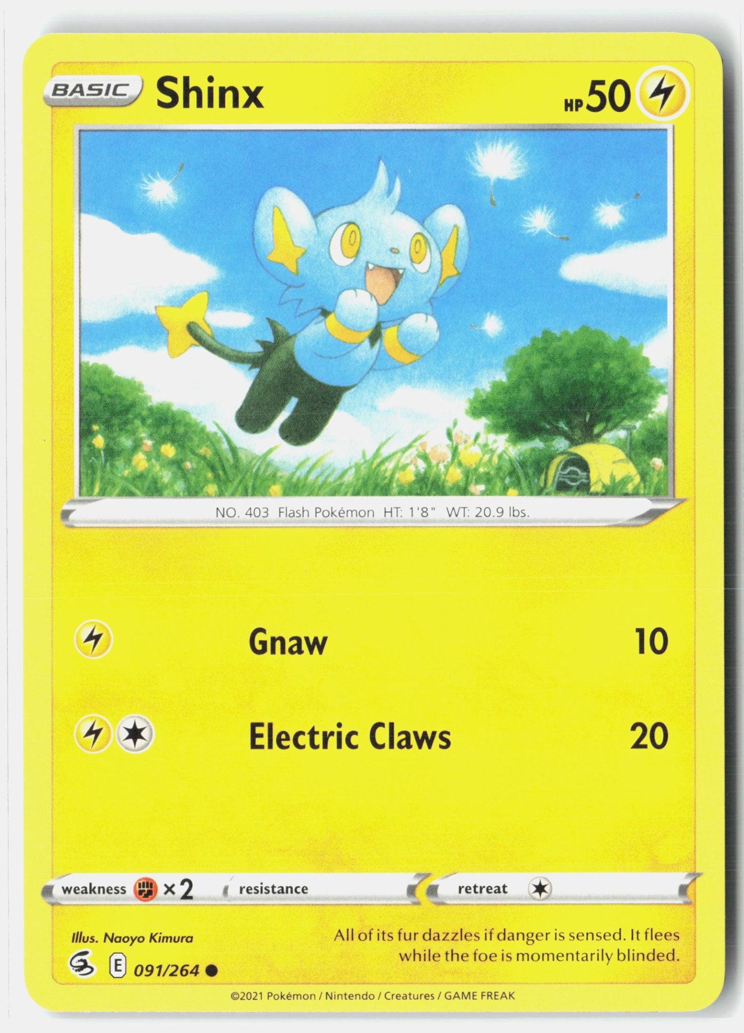 Shinx