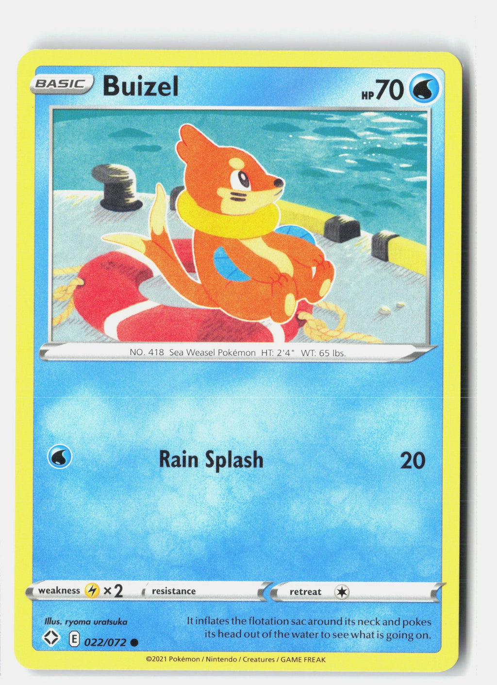 Buizel