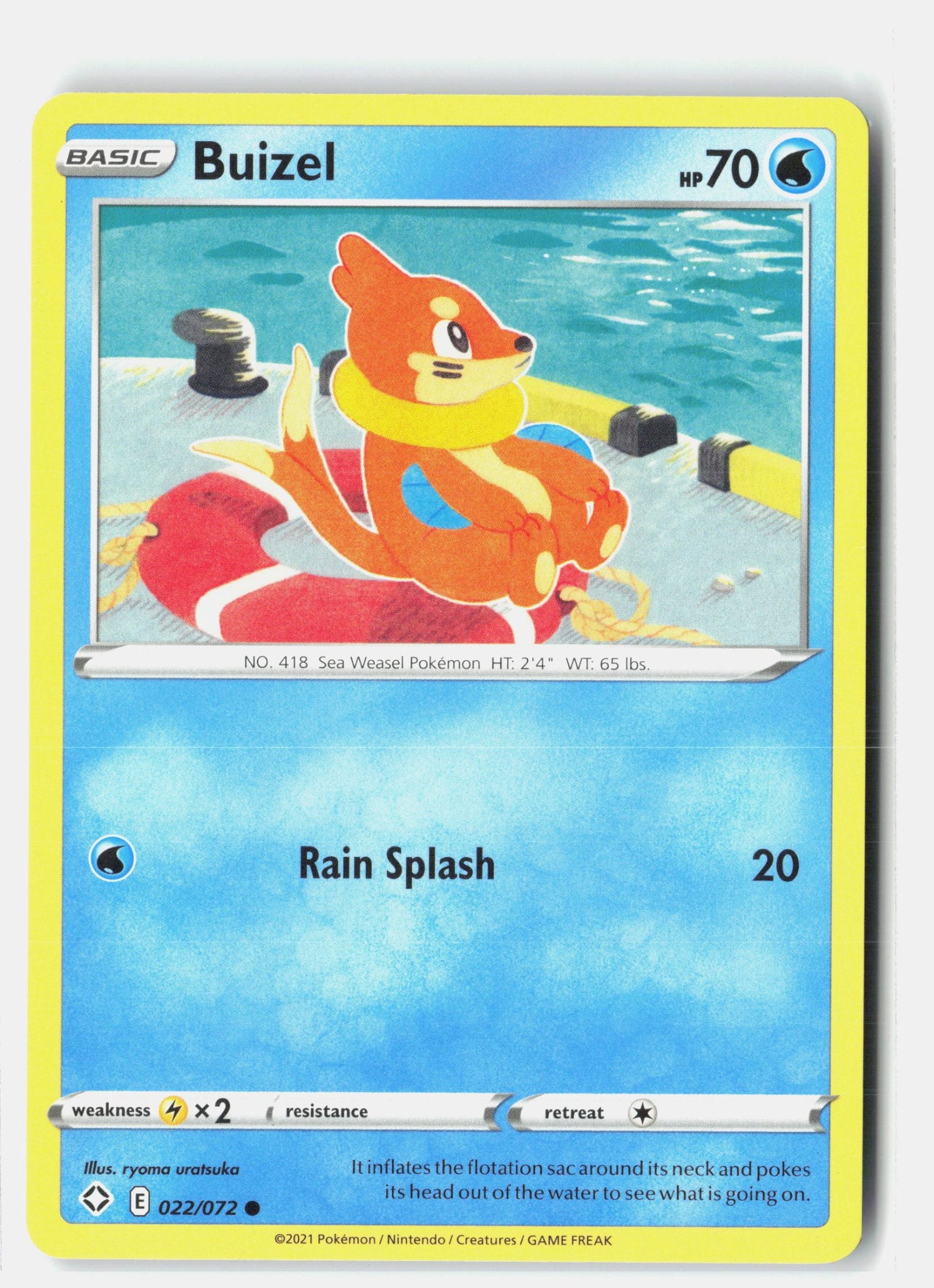 Buizel