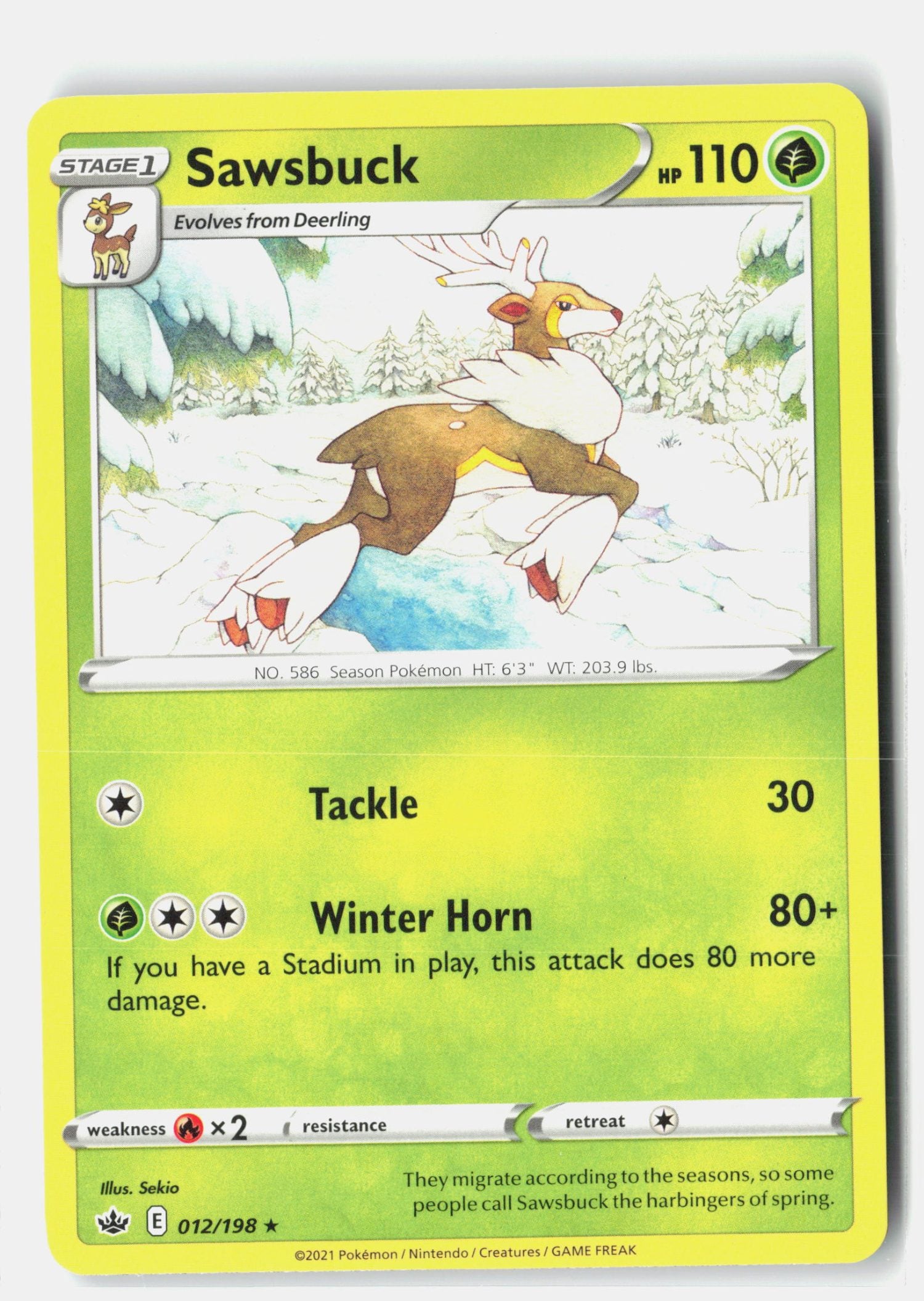 Sawsbuck