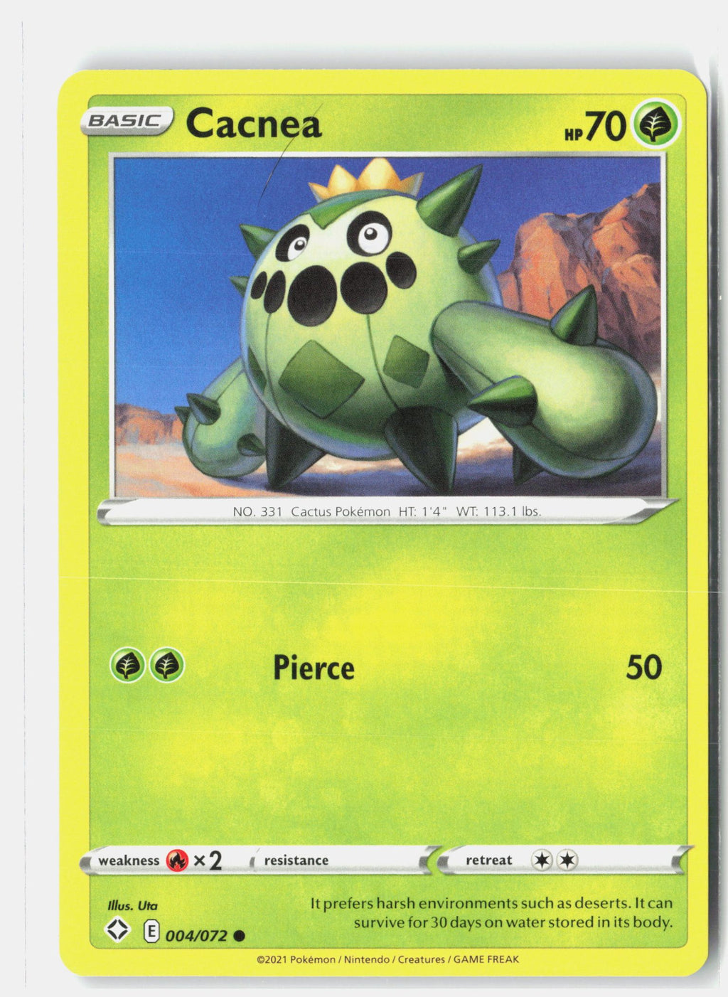 Cacnea