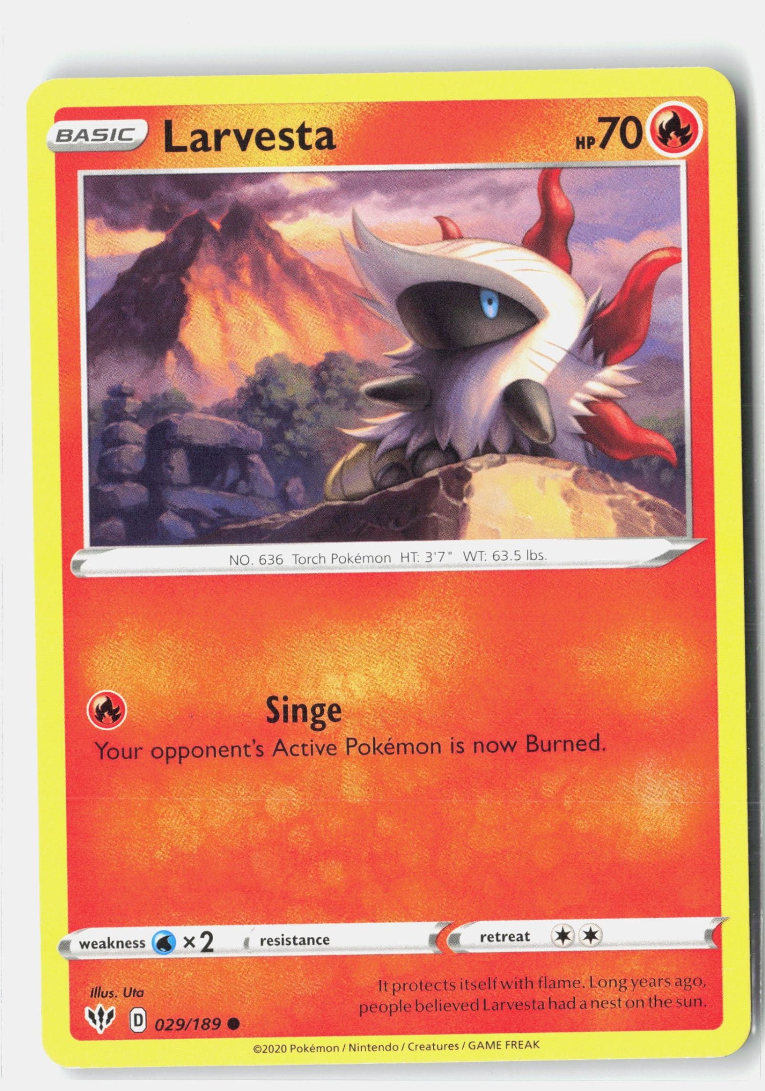 Larvesta