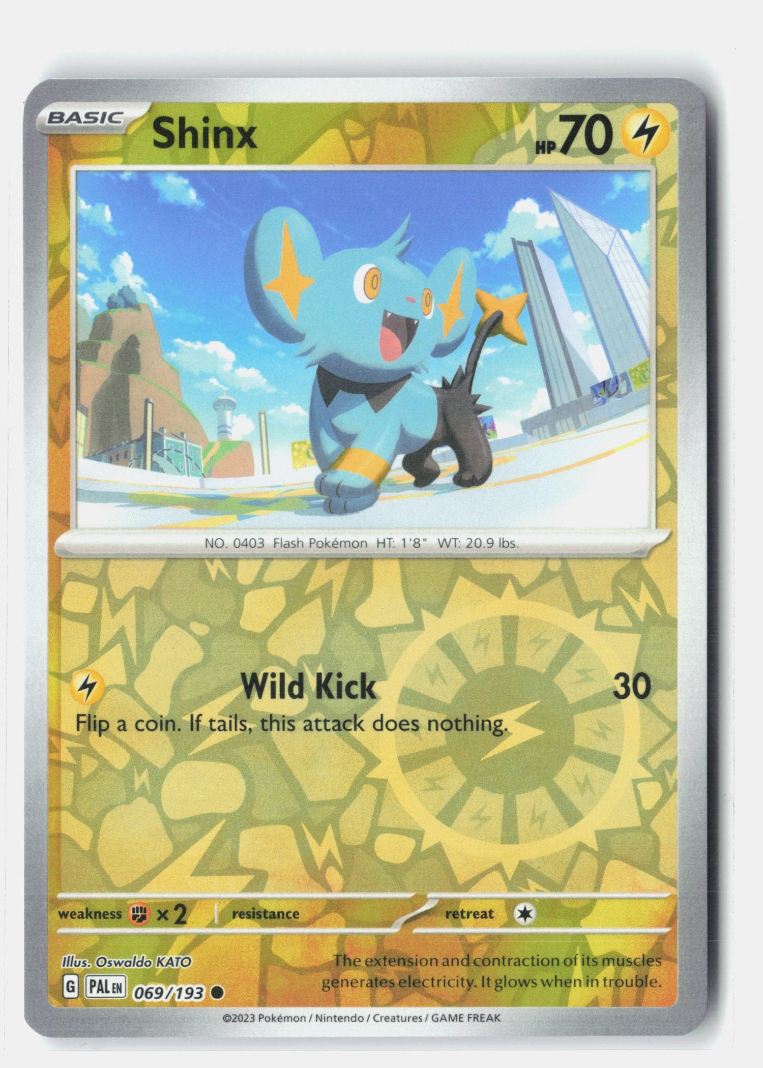 Shinx - 069/193