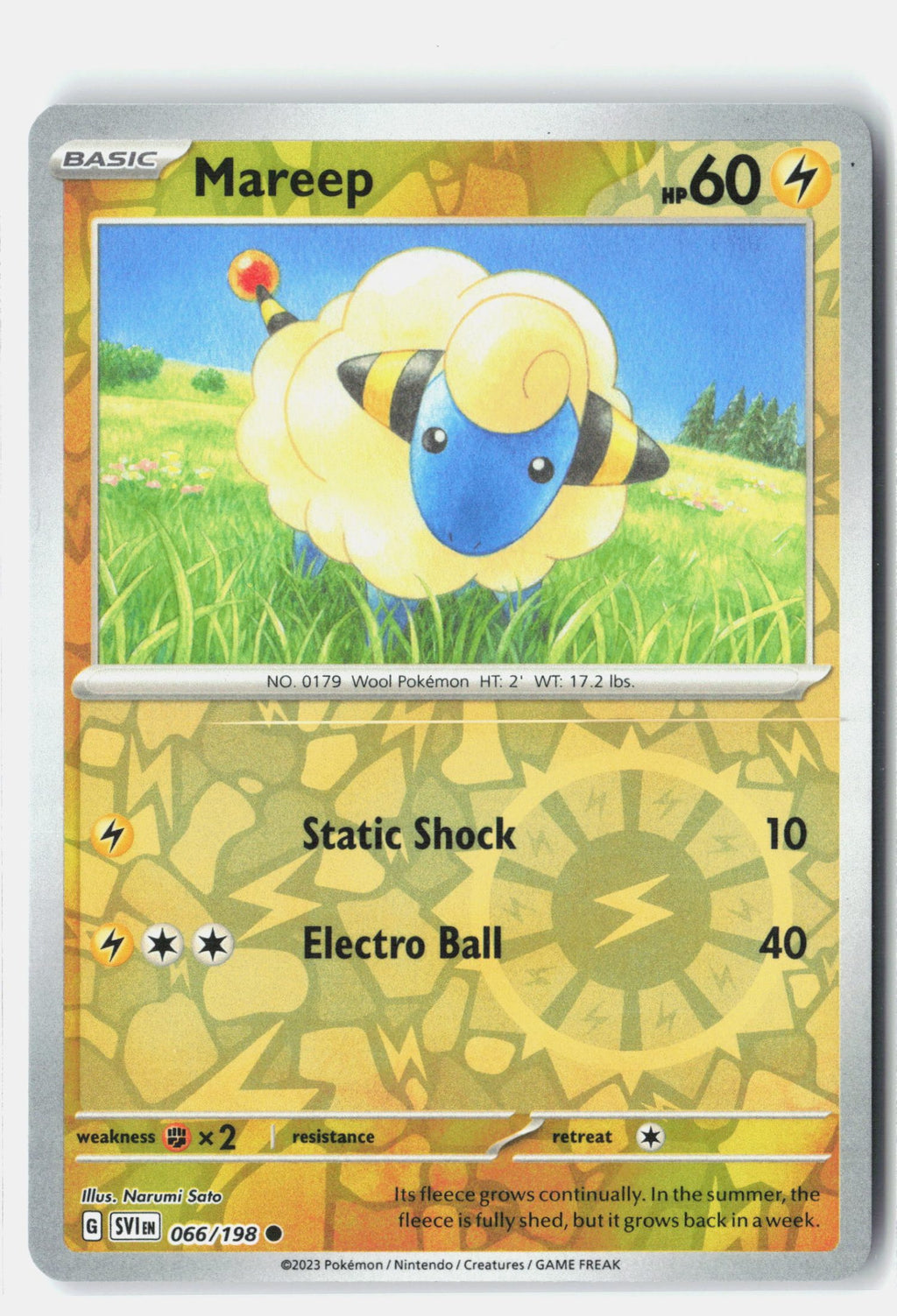 Mareep