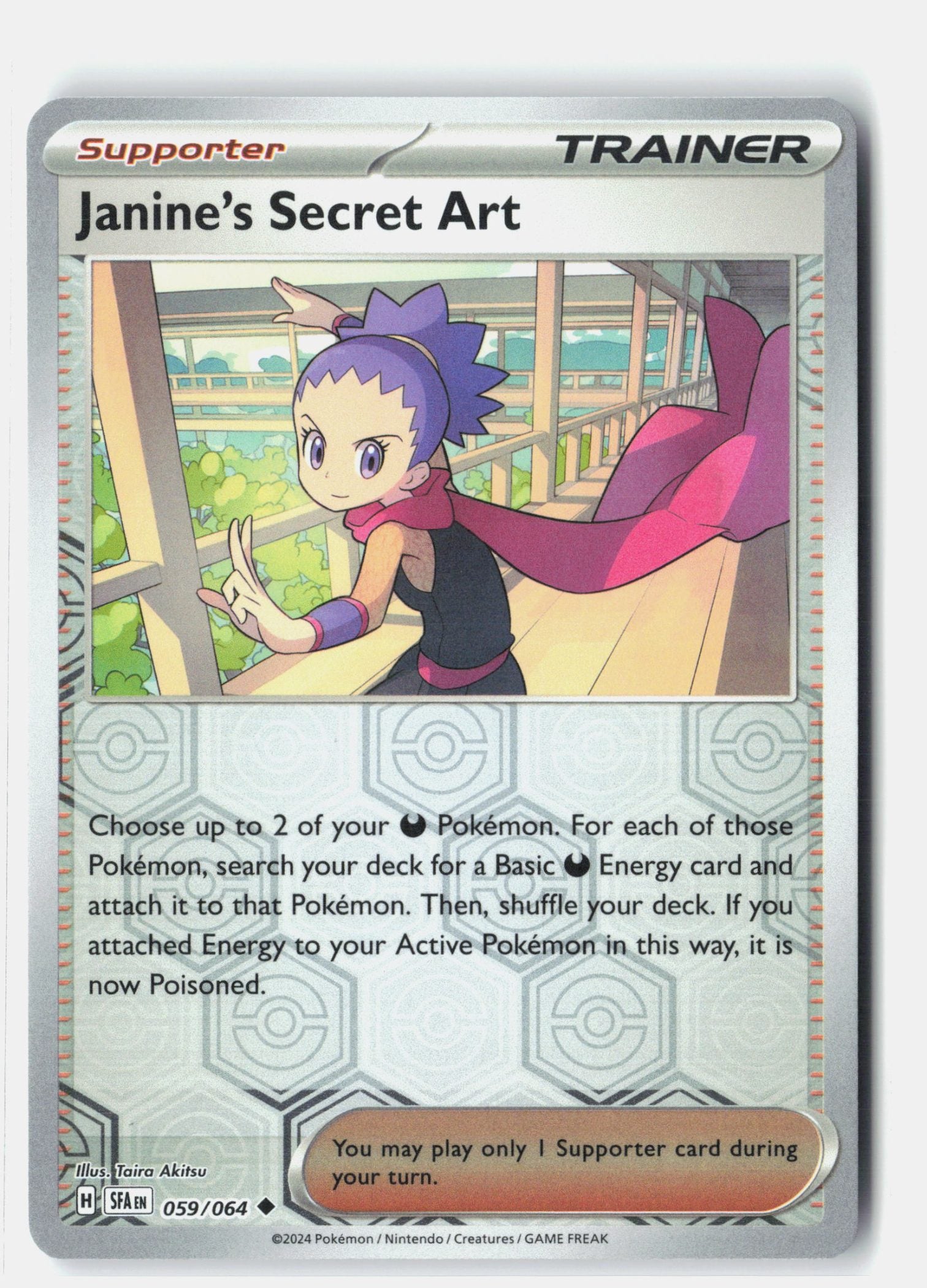 Janine's Secret Art - 059/064