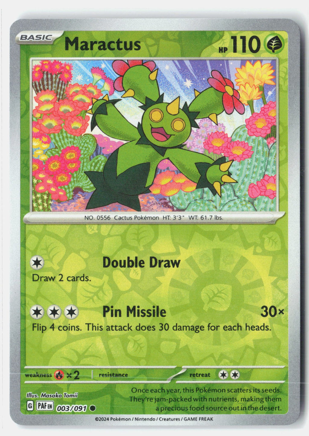 Maractus
