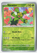 Maractus