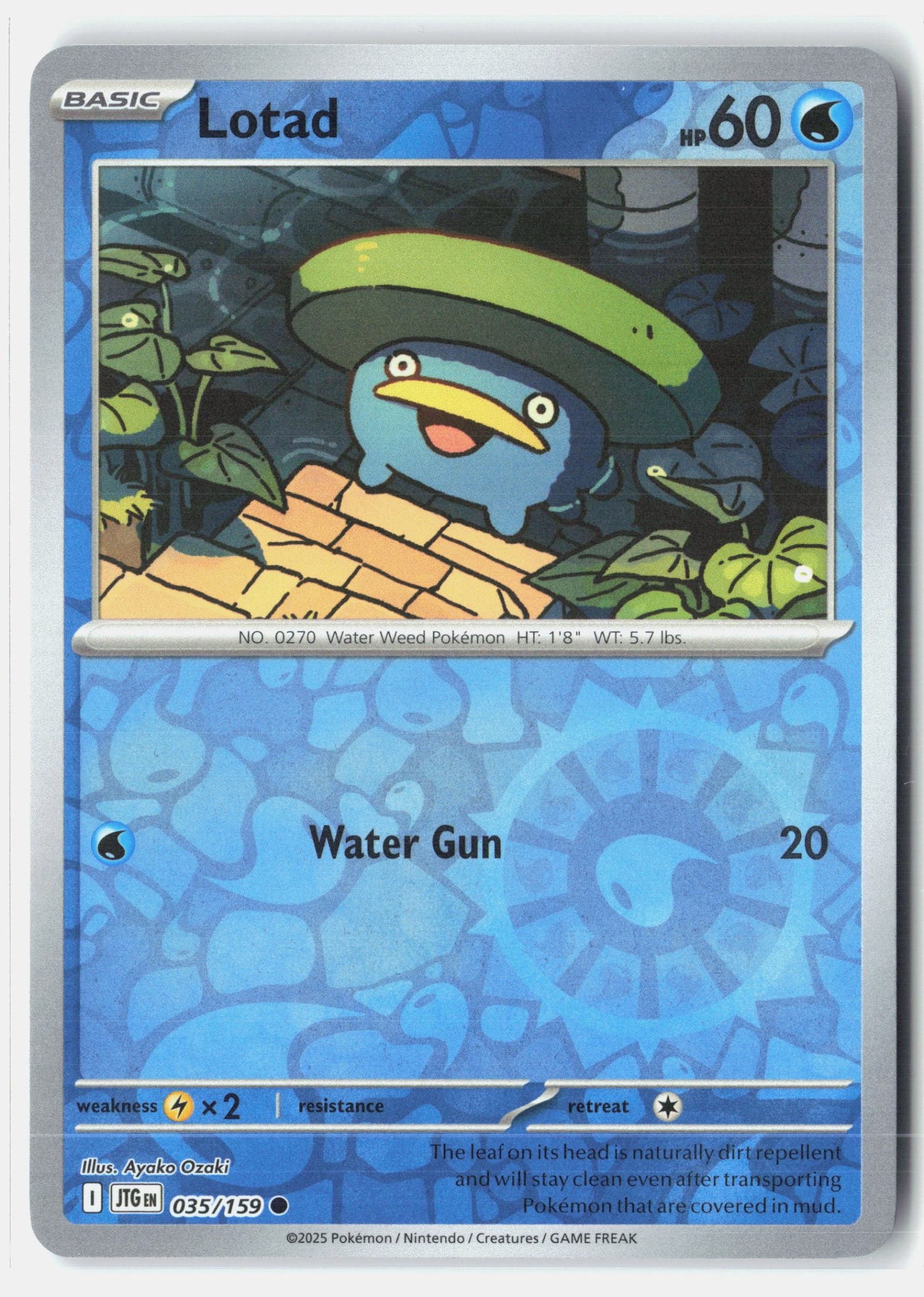 Lotad
