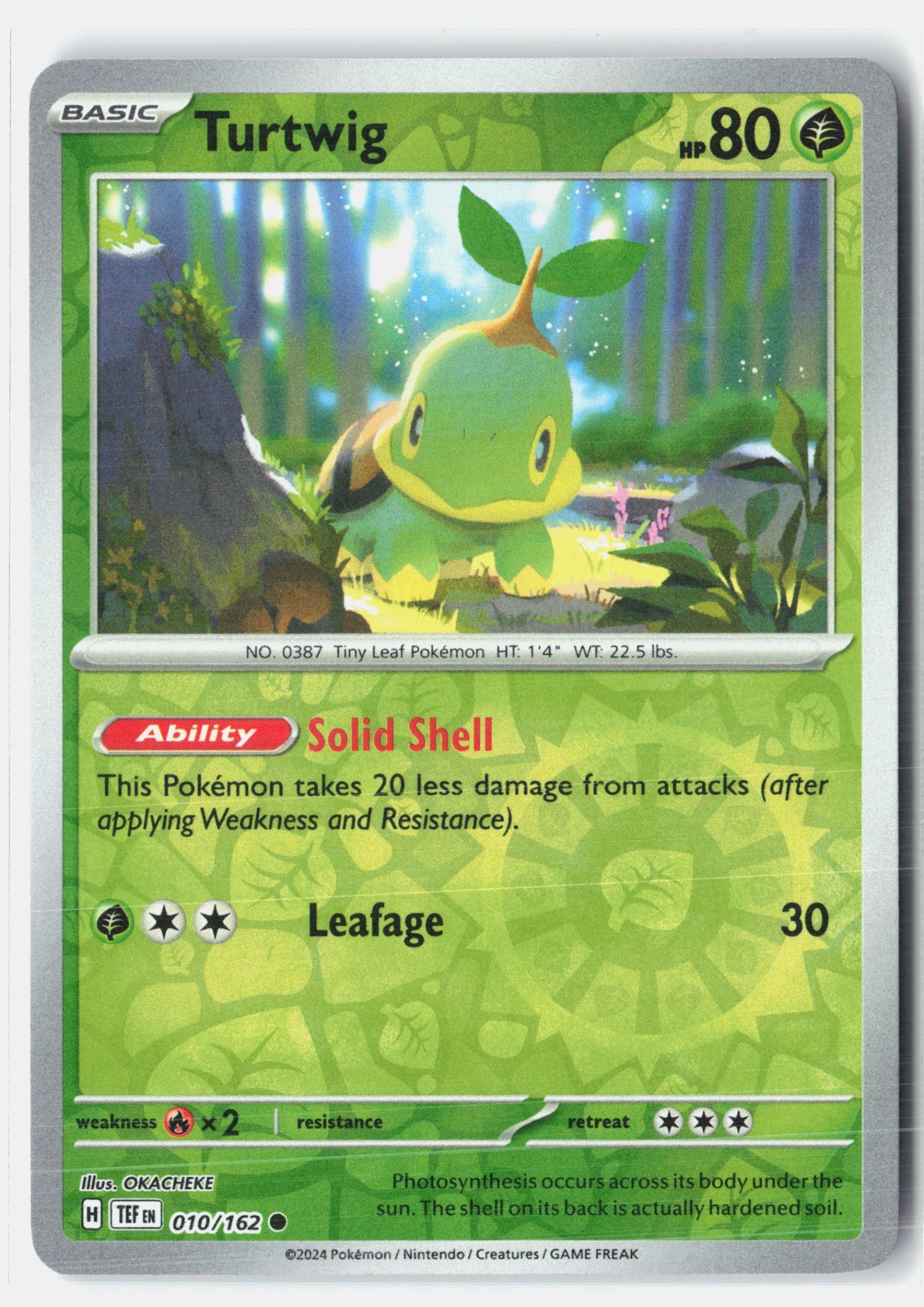 Turtwig