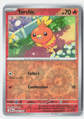 Torchic