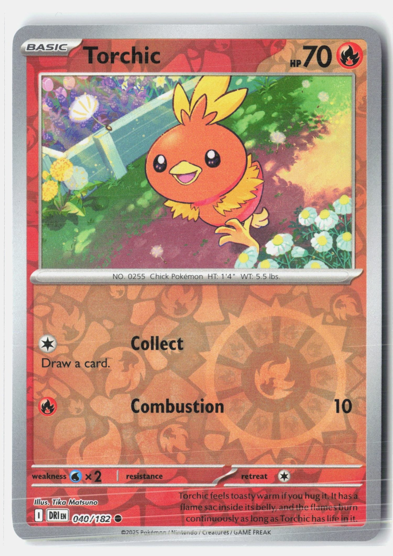 Torchic