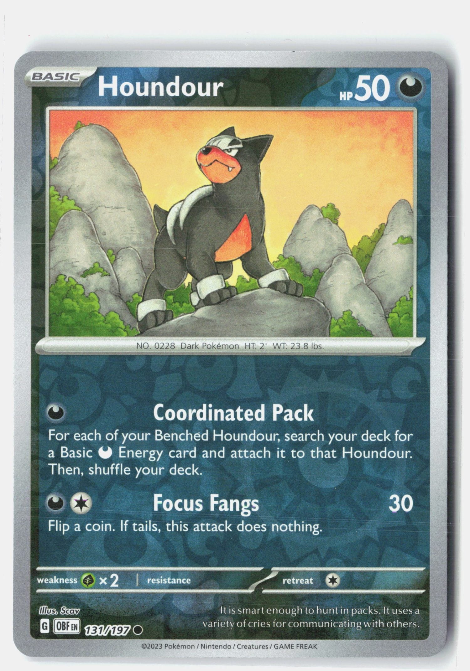 Houndour - 131/197