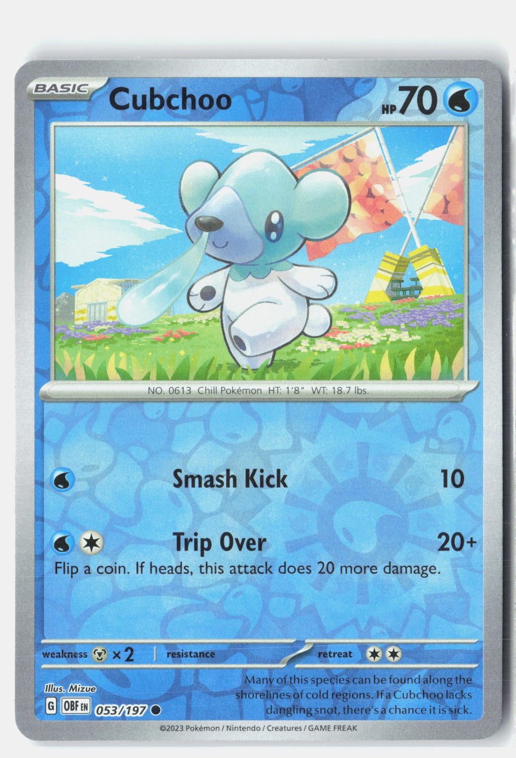 Cubchoo