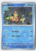 Buizel