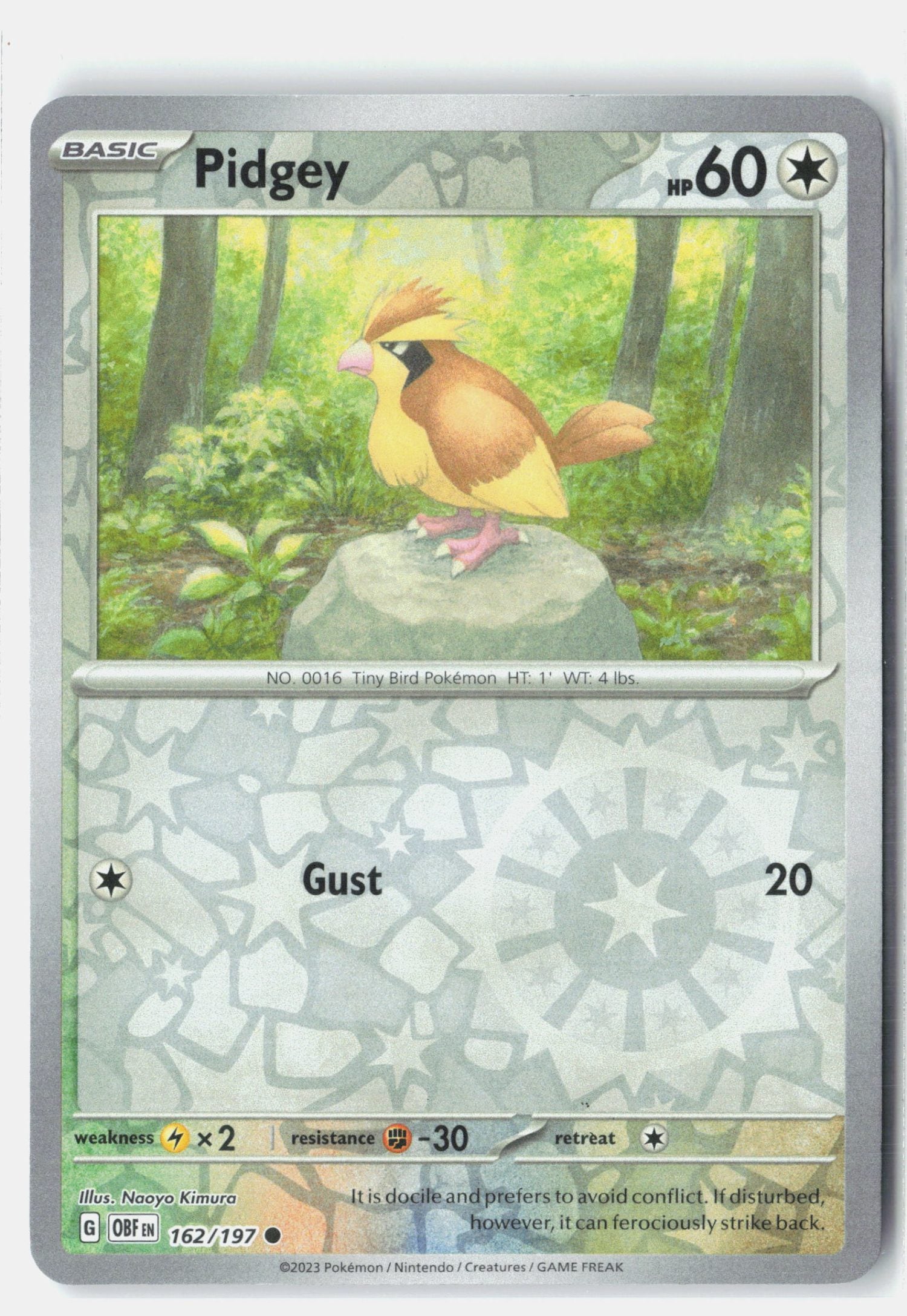 Pidgey