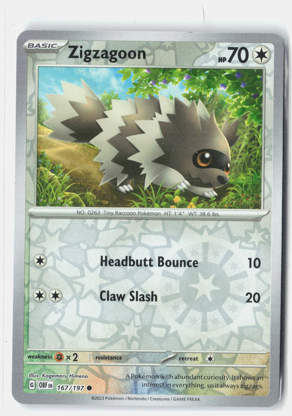 Zigzagoon