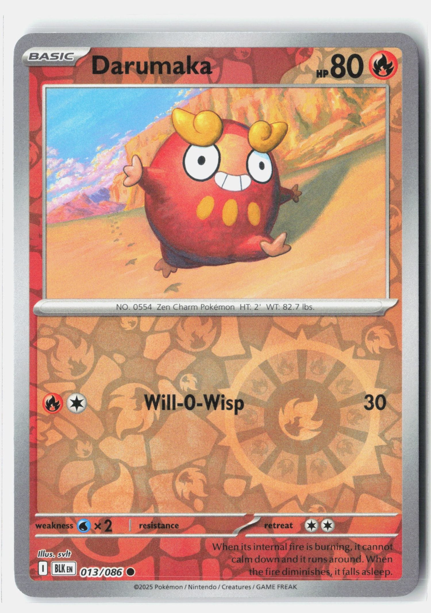 Darumaka