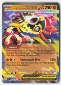 Mega Hawlucha ex - 116/217