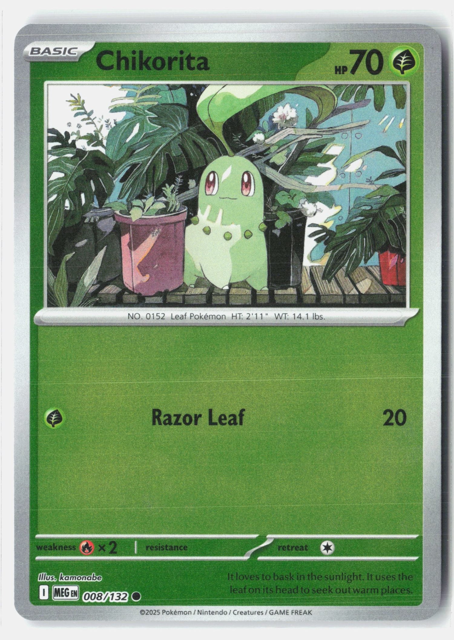 Chikorita