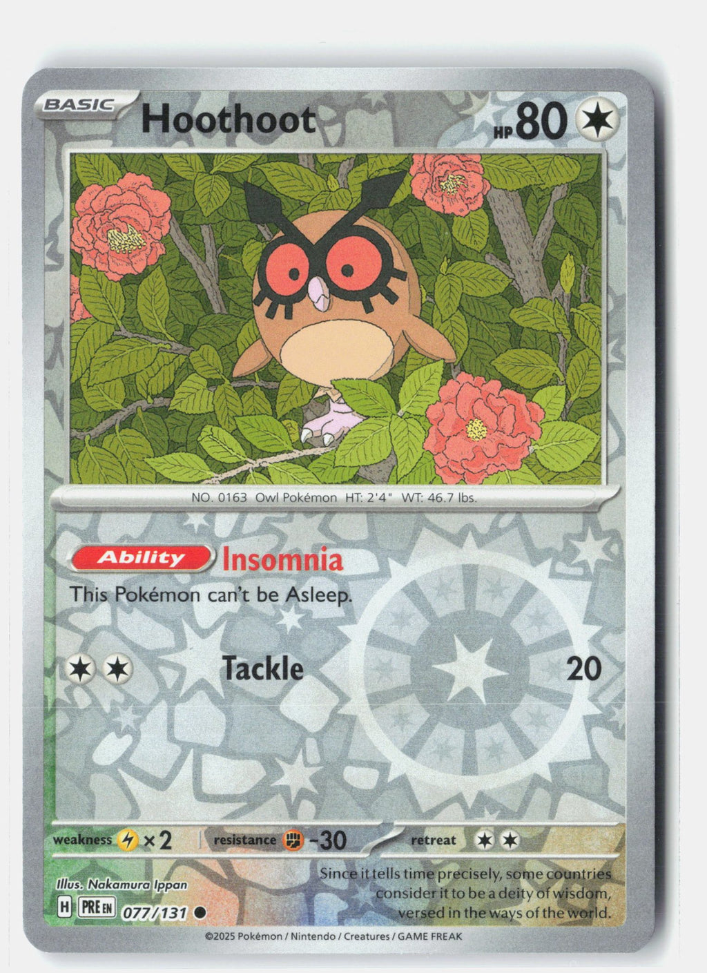 Hoothoot