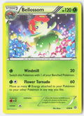SortSwift stock scan | Lightly Played