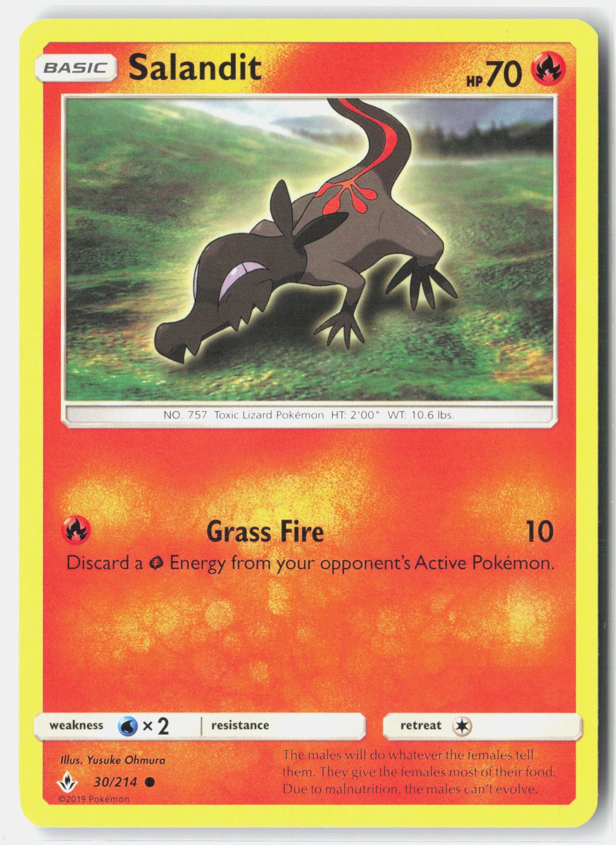 SortSwift stock scan | Lightly Played
