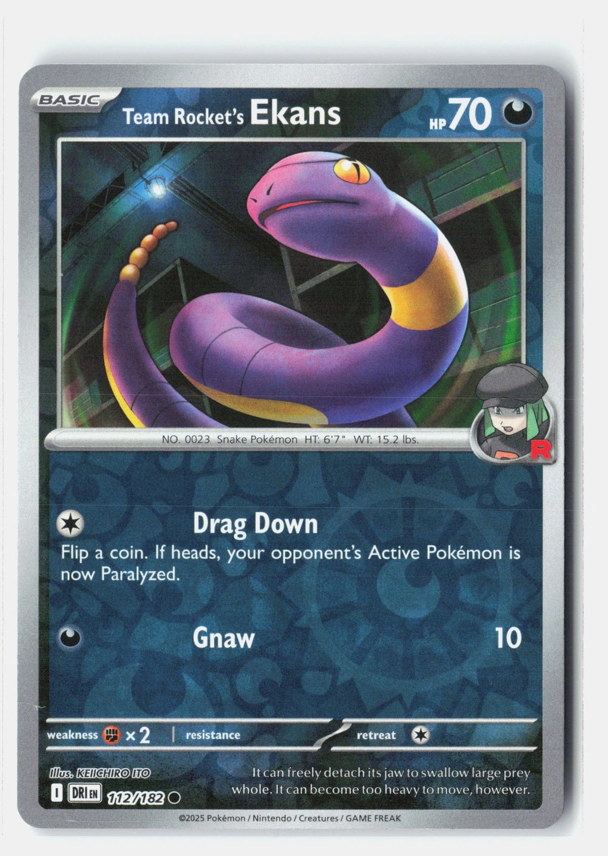SortSwift stock scan | Near Mint / English / Reverse Holofoil