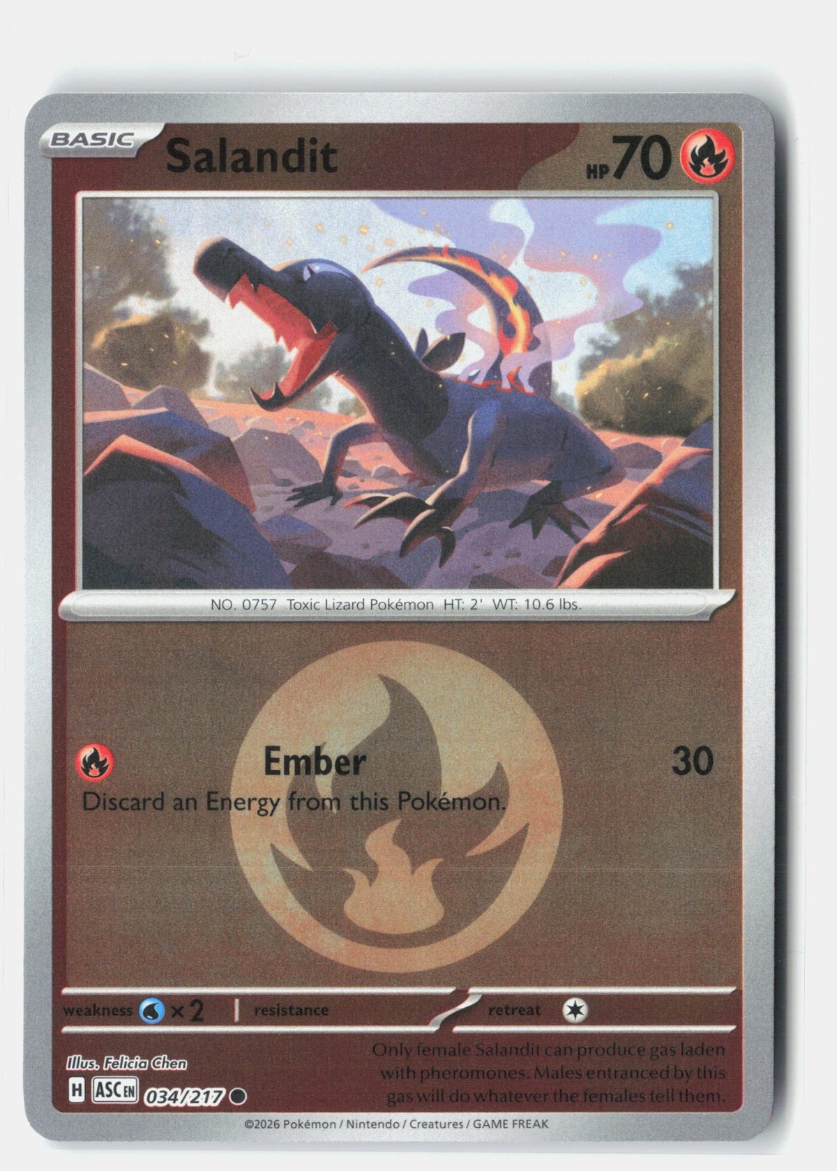 SortSwift stock scan | Near Mint