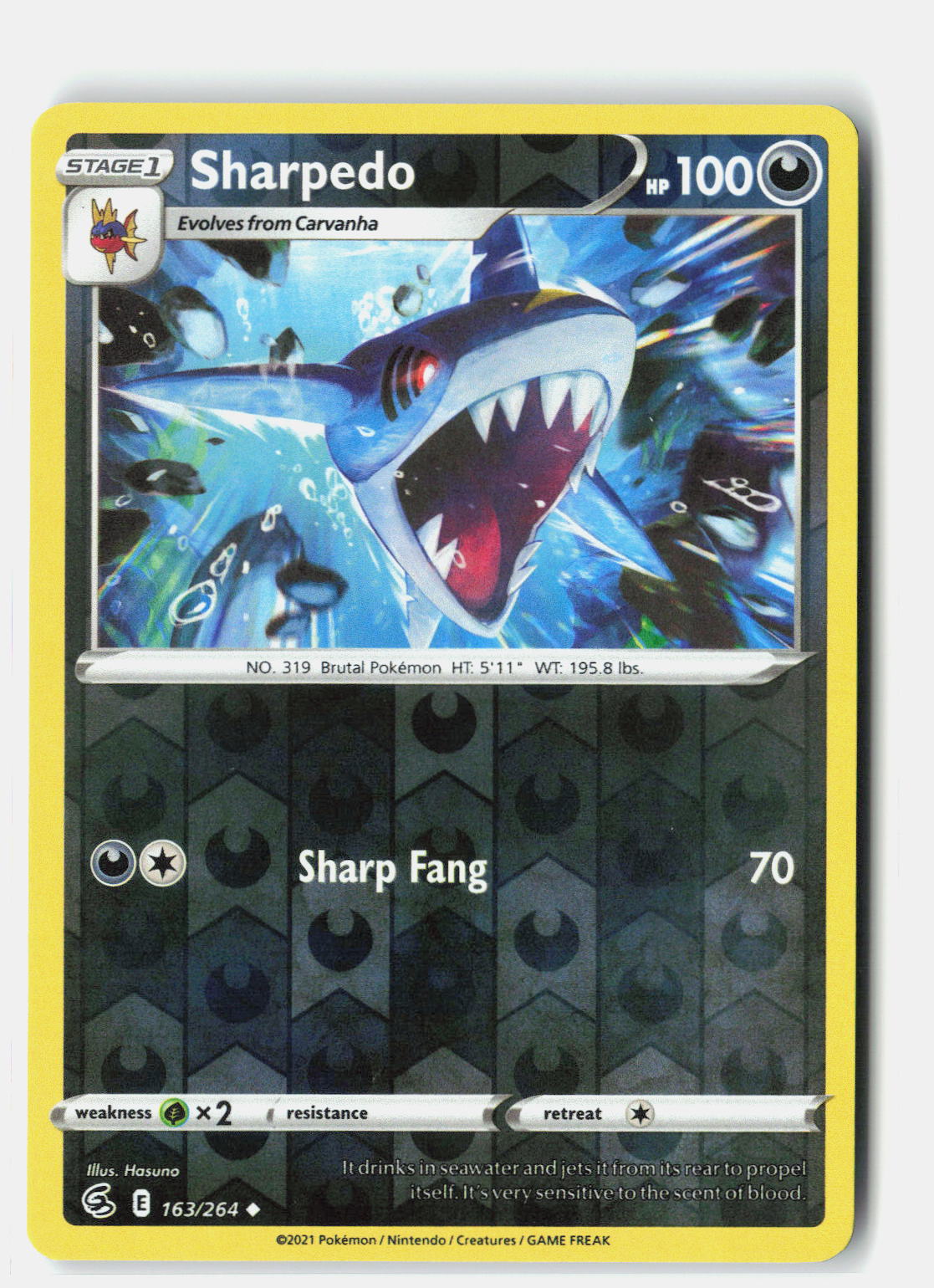Sharpedo