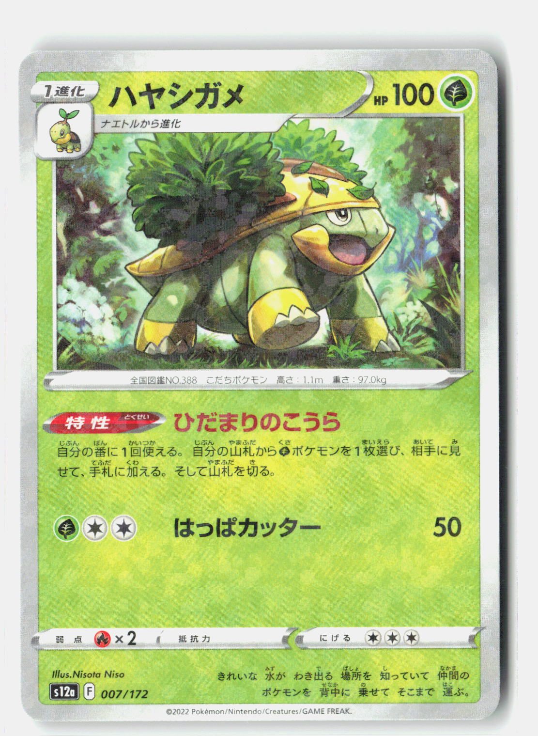 Grotle (Mirror Holofoil)
