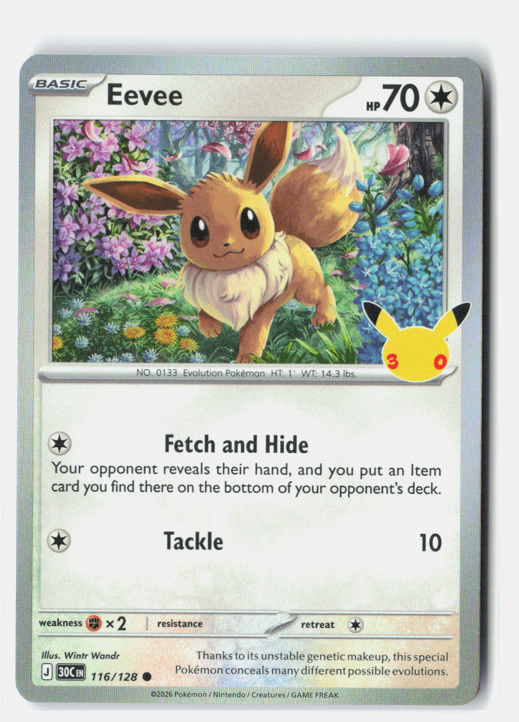 Eevee - 116/128 | Near Mint